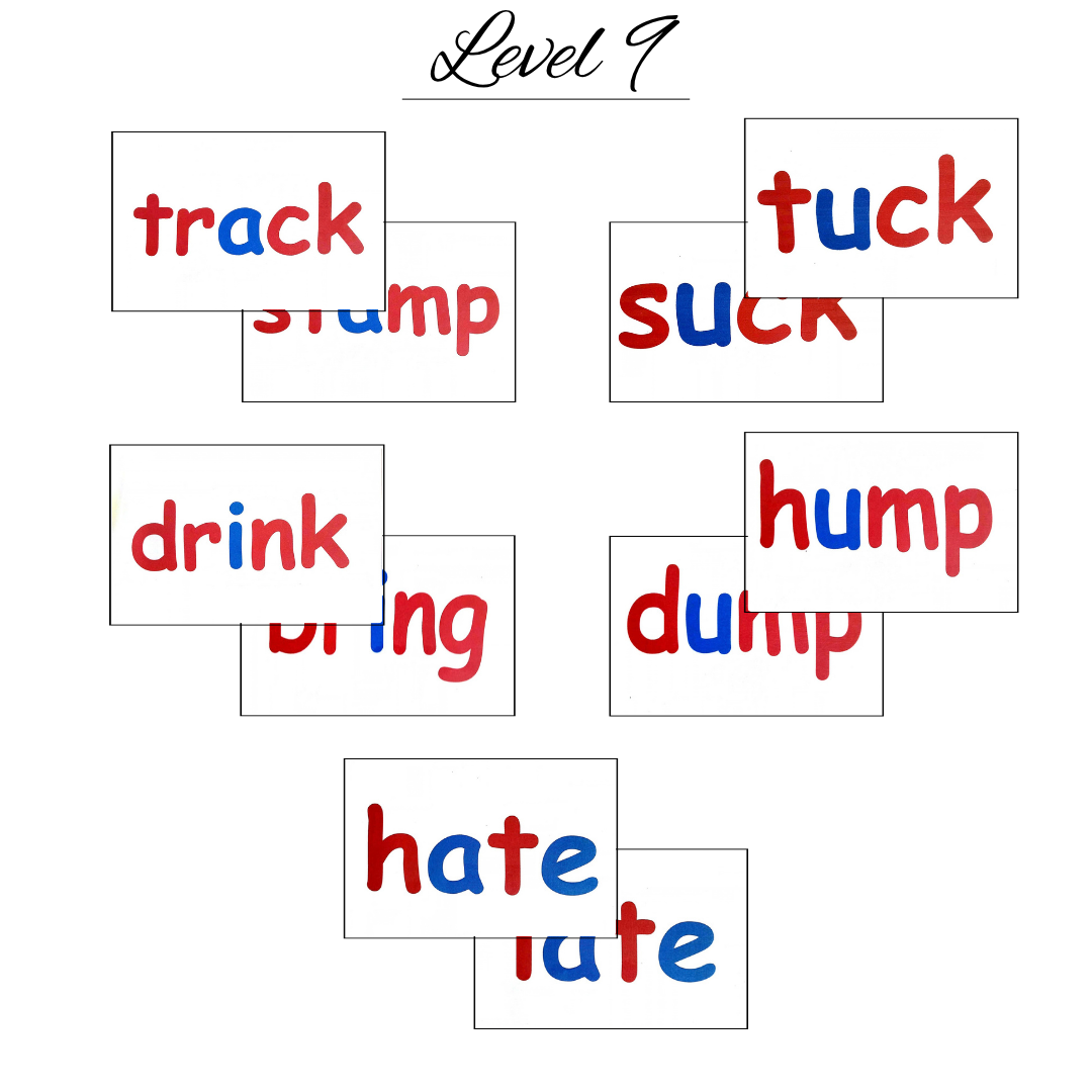 phonics (6) phonics 6